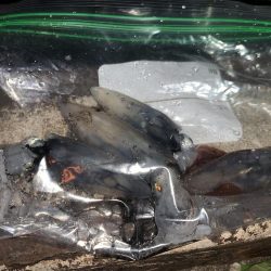 さぁ!ヒイカ‼︎