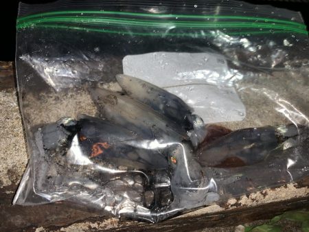 さぁ!ヒイカ‼︎