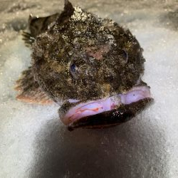 久々の釣りは、、、