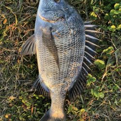 イチノ兄弟、釣果！