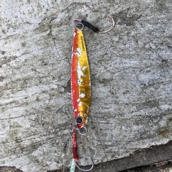 お昼のガラガラ神戸空港、ハマチ&大物ヒット