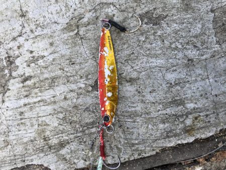 お昼のガラガラ神戸空港、ハマチ&大物ヒット