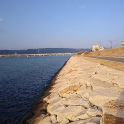 フラットフィッシュゲームNo.4