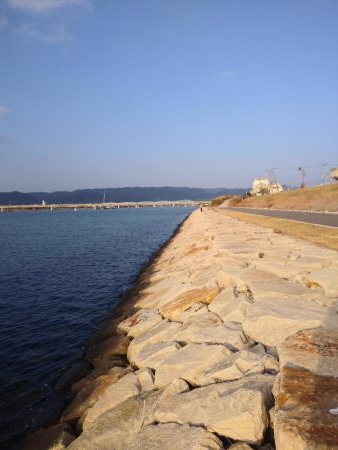 フラットフィッシュゲームNo.4