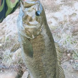 最高の釣り納め