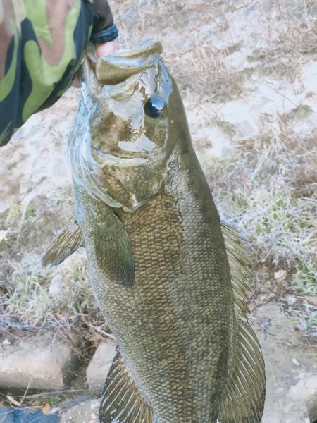 最高の釣り納め