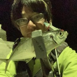 シーバス狙い中にチヌのRIDEON!