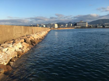 ヘダイ2匹、ベラ1匹