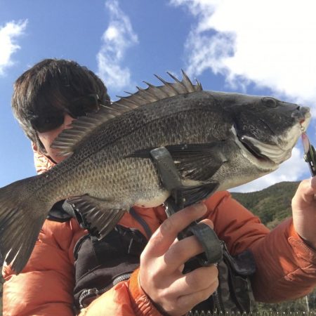 夜明け前からアジング、ロックフィッシュ、ロ…