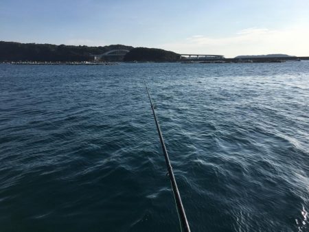 シマアジ、アイゴ。メッキ等