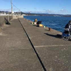 アイゴ、メッキ