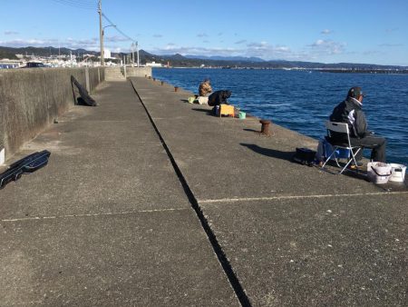 アイゴ、メッキ