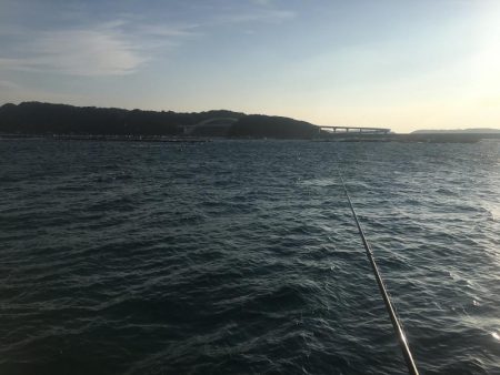 シマアジ、アイゴ、マダイ、ガシラ等