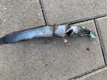 短時間メバリング