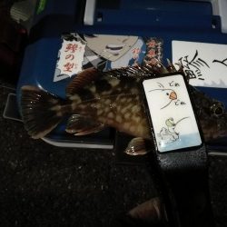 （2020/12/02 南港アジング　 良型アジ来た！アジング釣果 中アジ～（28.5㎝～）ガシラ 釣果有り）