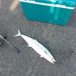 舞鶴～宮津ランガン