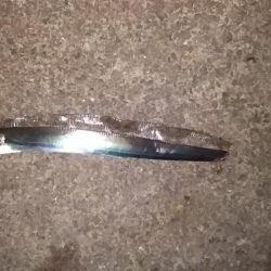 タチウオくん、まだ居たのね。ありがとう