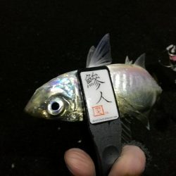 （2020/12/10 南港アジング　 絶好釣果！アジング釣果 中アジ～（28㎝～） 釣果有り）