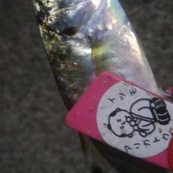 釣りデビュー　22日目