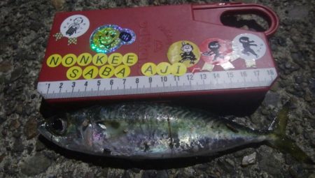 ㊗釣りデビュー　30日目