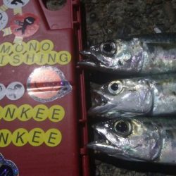 釣りデビュー 32日目