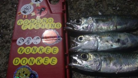 釣りデビュー 32日目