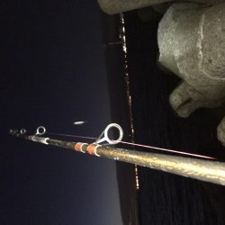 夕方のプチsalt water game!