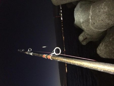 夕方のプチsalt water game！