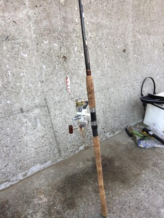 朝一プチsalt water game！