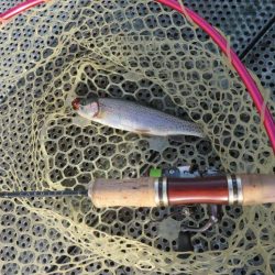 年末恒例東山湖忘年釣行