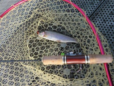 年末恒例東山湖忘年釣行