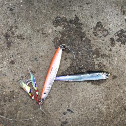 ショアジギング