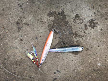 ショアジギング