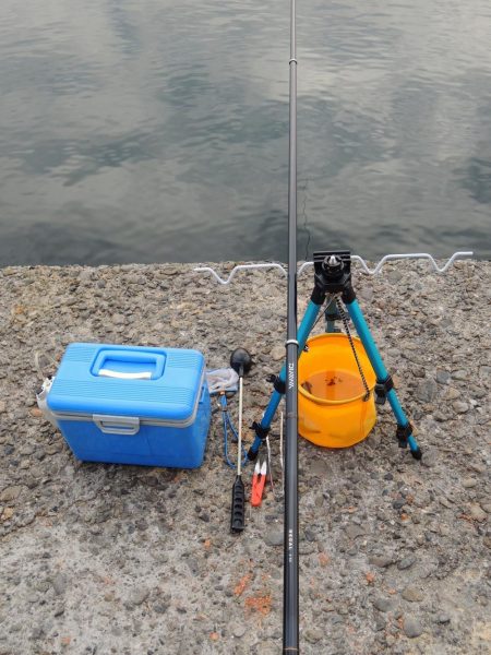 ハネの代わりにアイナメ