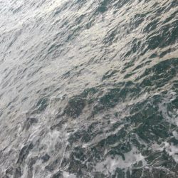 荒れています❗