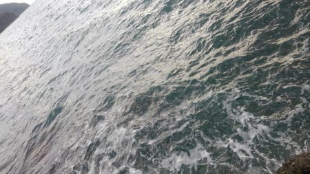 荒れています❗