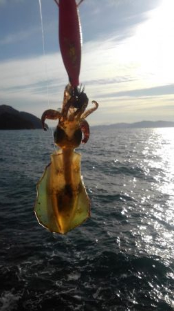 アオリ終盤戦‼️