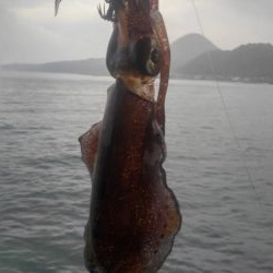 やっちまった～