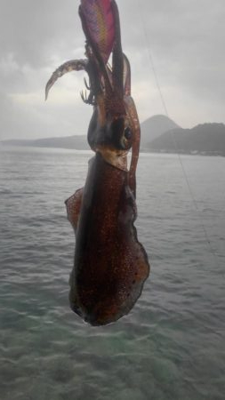 やっちまった～