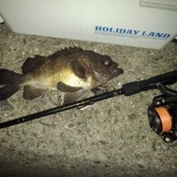 フロートゲーム