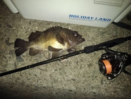 フロートゲーム