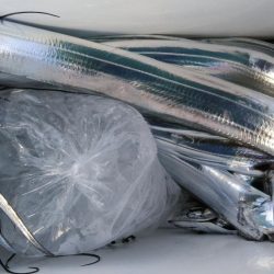 泉州丸 釣果