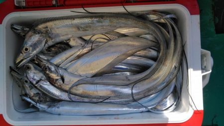 泉州丸 釣果