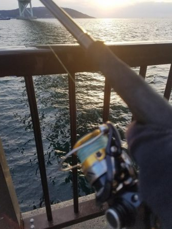 またコブ無し！