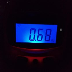 ナイトエギング