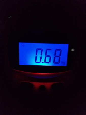 ナイトエギング