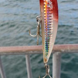 運が良かったです