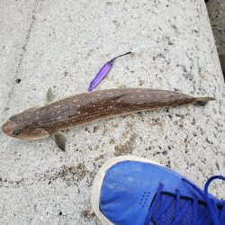 １日チャレンジ