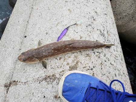 １日チャレンジ