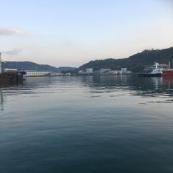 あたりはあるが•••